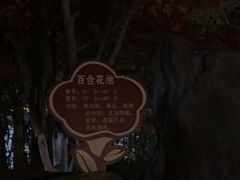 -大理地热国