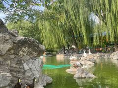 -团结湖公园