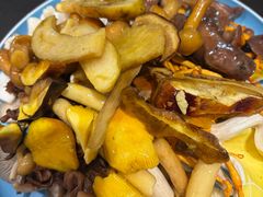 -菌之家·专业纯野生菌火锅·特色炒菌