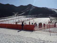 -骏途旅游
