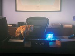 -幸福蓝海国际影城(苏州凤凰店)