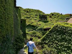 -枸杞岛