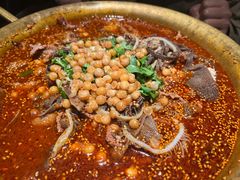 -张翻越·川渝冒菜·武汉黑鸭煲(城北万象城店)