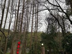 -杭州林泉山庄