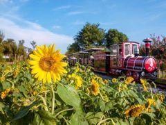 -武汉紫薇都市田园