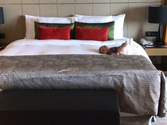 -上海滴水湖皇冠假日酒店