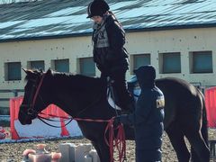 -北京群众马术培训基地