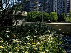 -苏州河梦清园环保主题公园