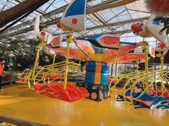 -南宫五洲植物乐园