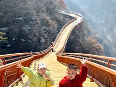 -少华山国家森林公园