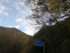 -牛背梁国家森林公园