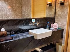 -河源万绿湖美思威尔顿酒店