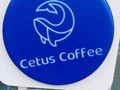 -Cetus coffee鲸鱼座咖啡·拼豆(二仙桥公园店)