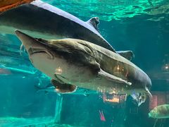 -华夏文旅海洋公园