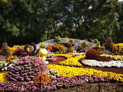 -上海共青森林公园