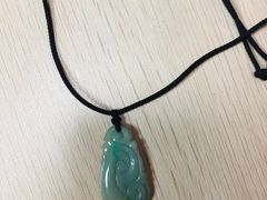 -西双版纳原始森林公园