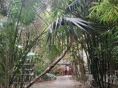 -呀路古热带植物园