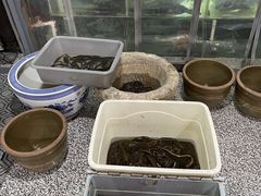 -恋拐子油爆虾·家常菜