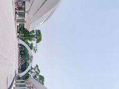 -上海鲜花港