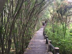 -新江湾城公园