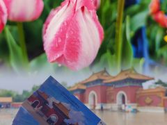 -北陵公园