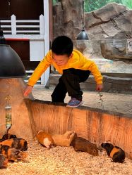 -宝燕乐园(闵行旗舰店)