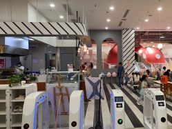 -宝燕乐园(春申店)