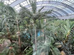 -国信南山温泉