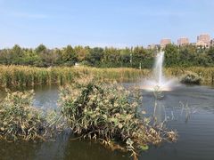 -前关湿地公园