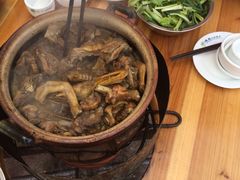 -霞姐屯昌枫木香草鸭店(海螺店)