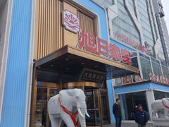 -大连湾旭日·家宴·海肠捞饭(马栏广场店)
