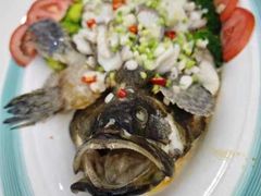 -馨越楼·点心·粤菜(赤坎店)