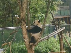 -黔灵山公园