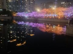 -西北湖绿化广场