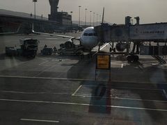 -西宁曹家堡国际机场-T2航站楼