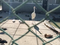 -哈尔滨北方森林动物园