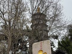 -湛山寺