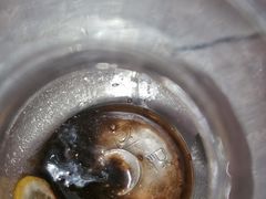 自制酸梅汤-江边城外烤全鱼(方庄时代购物中心店)