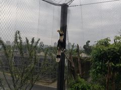 -武汉动物园