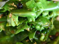 -广州柏悦酒店·悦景轩·粤菜餐厅