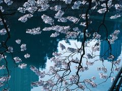 -红星桥(地铁站)