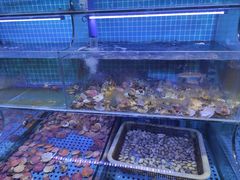 -前王院•巧克力海鲜市集餐厅(万平口店)