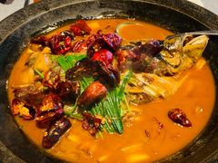 段氏绝味鱼头-柿合缘新京菜(国金中心商场店)