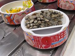 -龍歌自助小火锅(芝罘万达店)