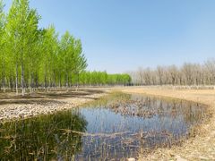 -东郊湿地公园