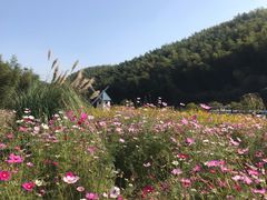 -宁波浙东大竹海景区