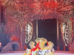 -广州长隆国际大马戏