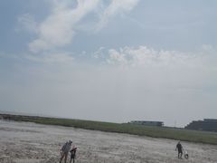 -南汇嘴观海公园