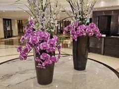 -上海虹桥迎宾馆