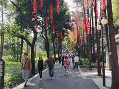 -晓港公园